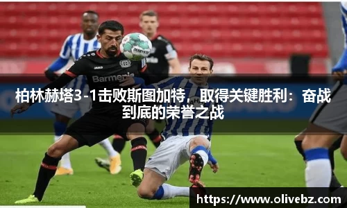 bwin必赢官网入口